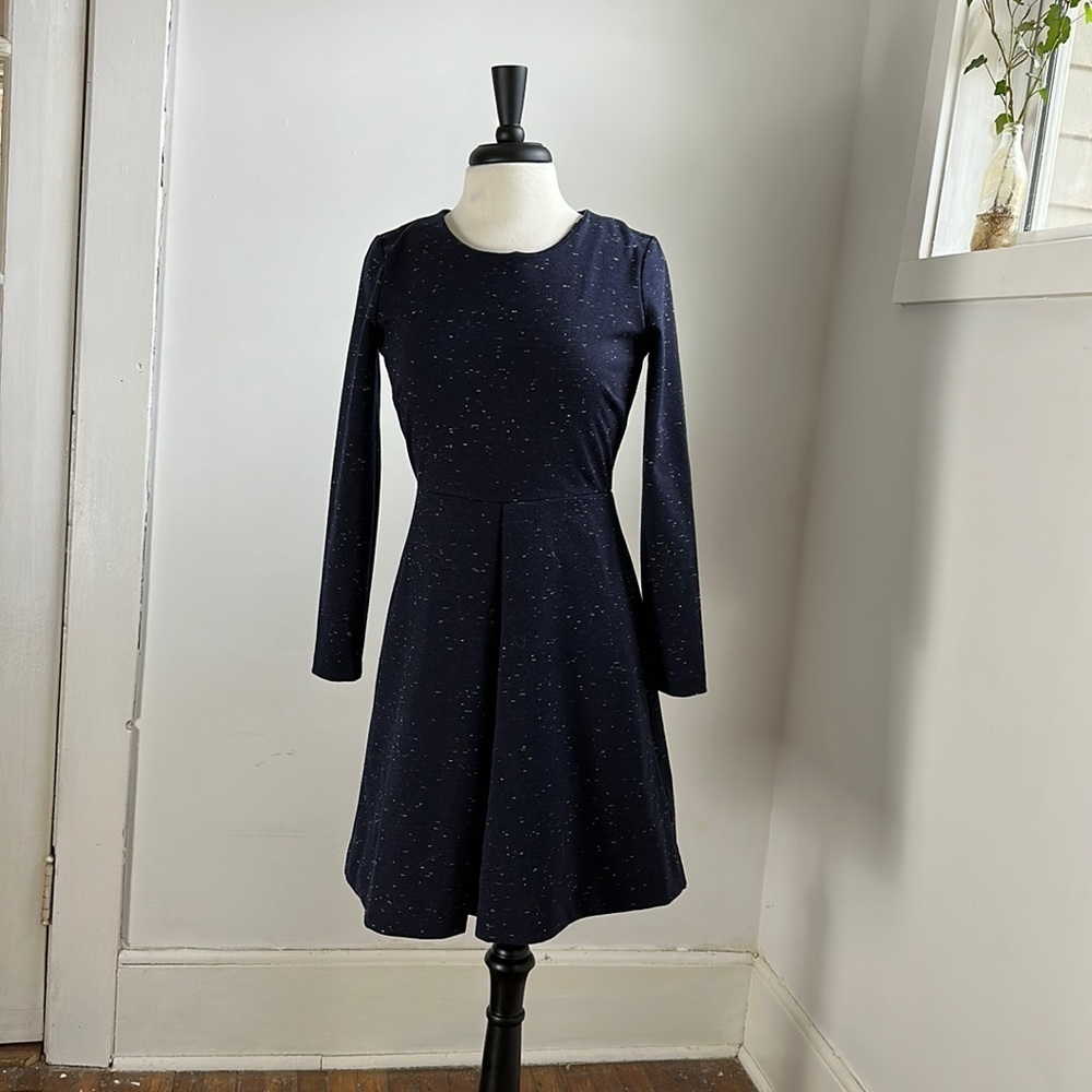 Sz 4 Small Medium Madewell Navy Blue Long Sleeve MIDI Fit and Flare Skater Dress